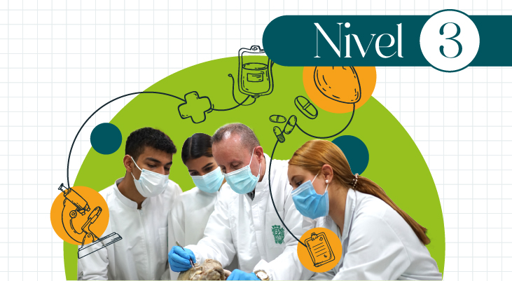 Nivel 3 - Primer Respondiente