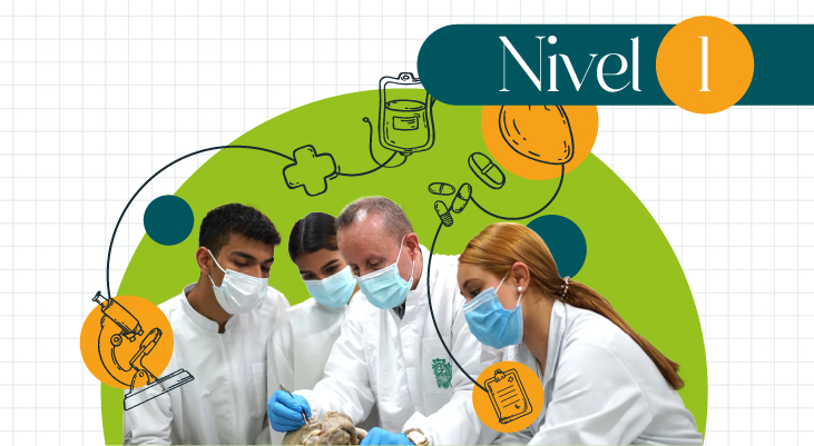 Nivel 1 - Aula virtual 