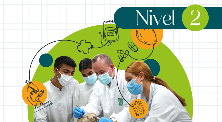 Nivel 2 - Aula virtual