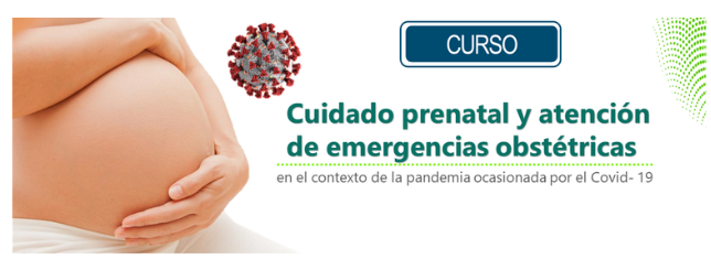 Cuidado prenatal y atención de emergencias obstétricas