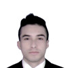 Cristian Arbey Velarde Hoyos