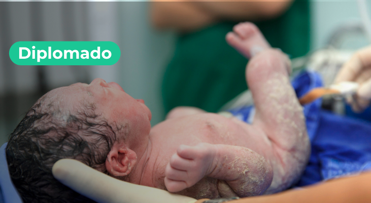 Diplomado Formación y Transformación en Buenas Prácticas de Atención al Parto Seguro y Respetado