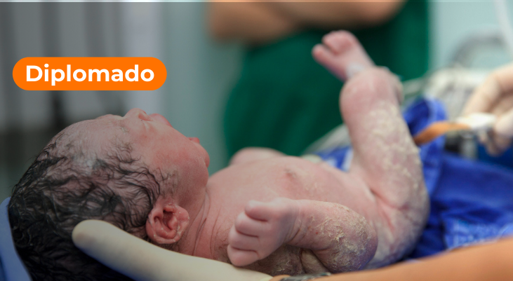 Diplomado Formación y Transformación en Buenas Prácticas de Atención al Parto Seguro y Respetado